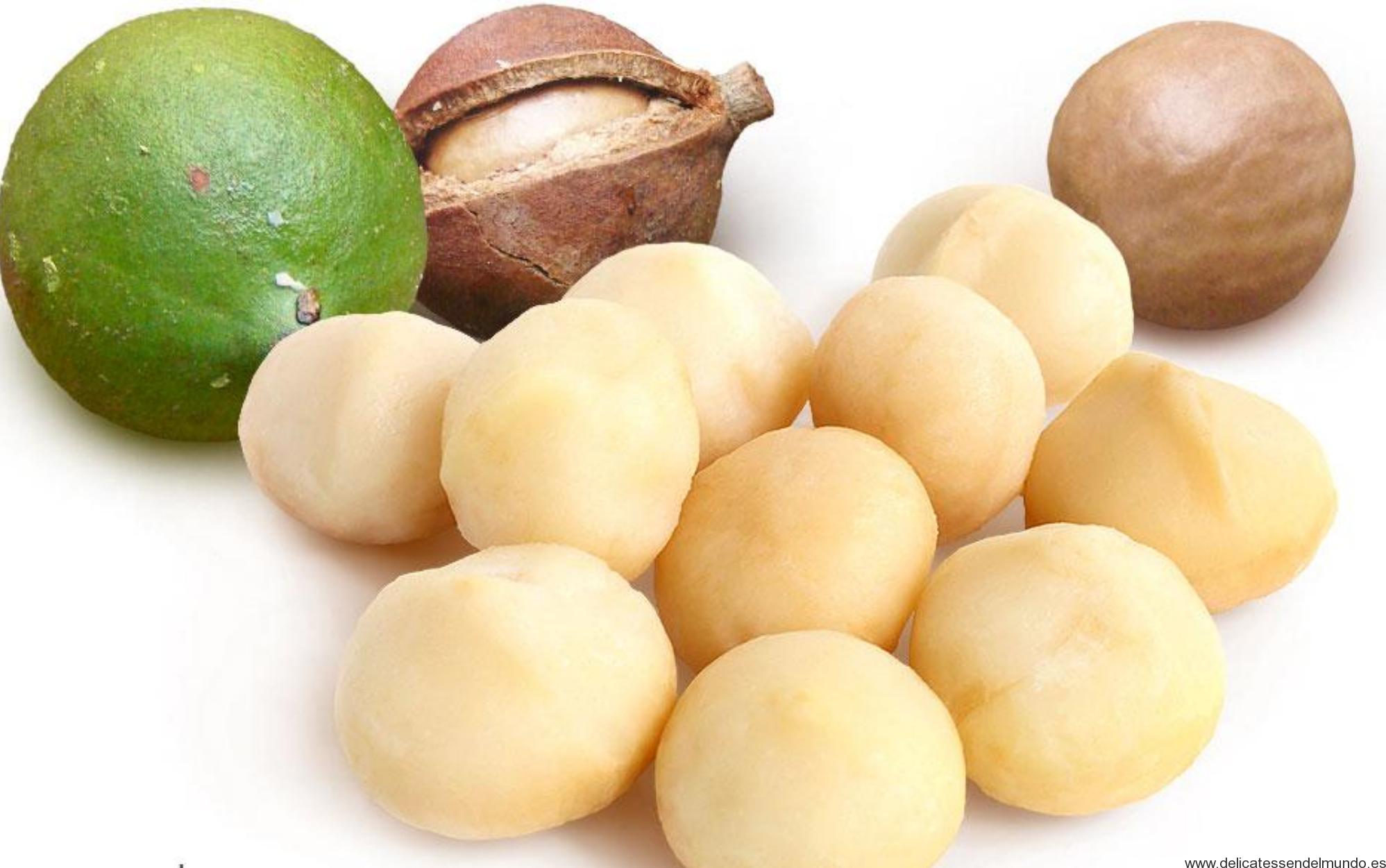Nueces de Macadamia de Origen Australiano | Natural y Sin Sal nueces de macadamia de origen australiano.