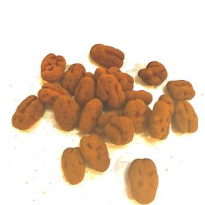 Chocolate Nueces pecan trufa
